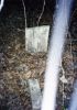 Alexander Wilkes tombstone (part) 3-1996