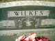 J W and David Lee Wilkes gravestone