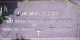 Ida Mae Powell Cobb gravestone