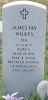 James Fay Wilkes gravestone