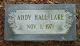 Addy Hall Lake gravestone